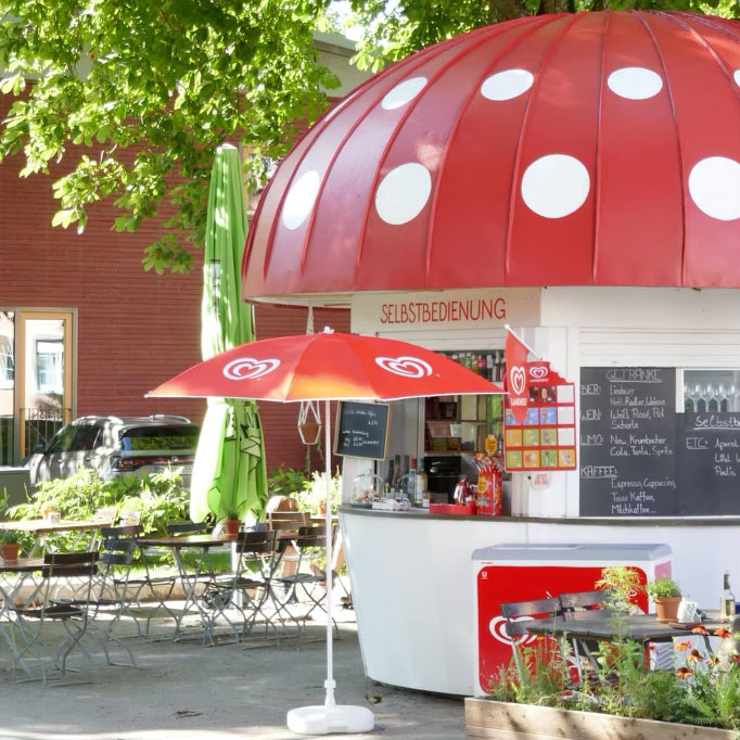 Milchpilz auf der Insel Lindau